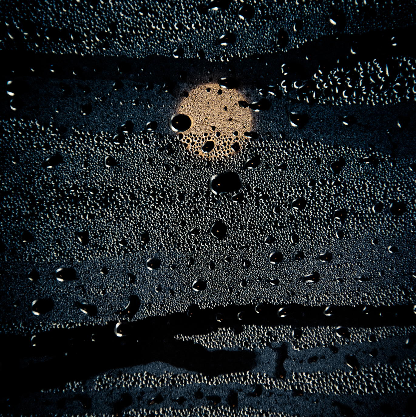 054a.jpg|300