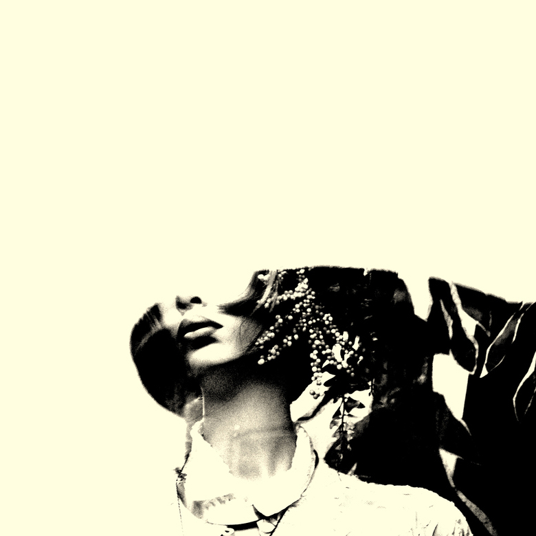 110a.jpg|300